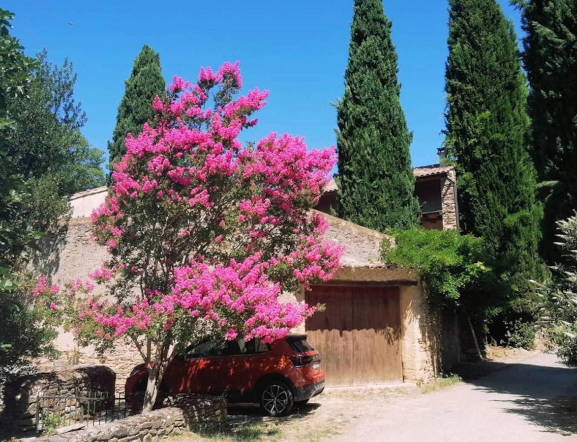 Maison 1643 Laudun 외부 사진